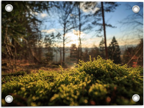 WallClassics - Tuinposter – Close-Up Mos - 40x30 cm Foto op Tuinposter  (wanddecoratie voor buiten en binnen)