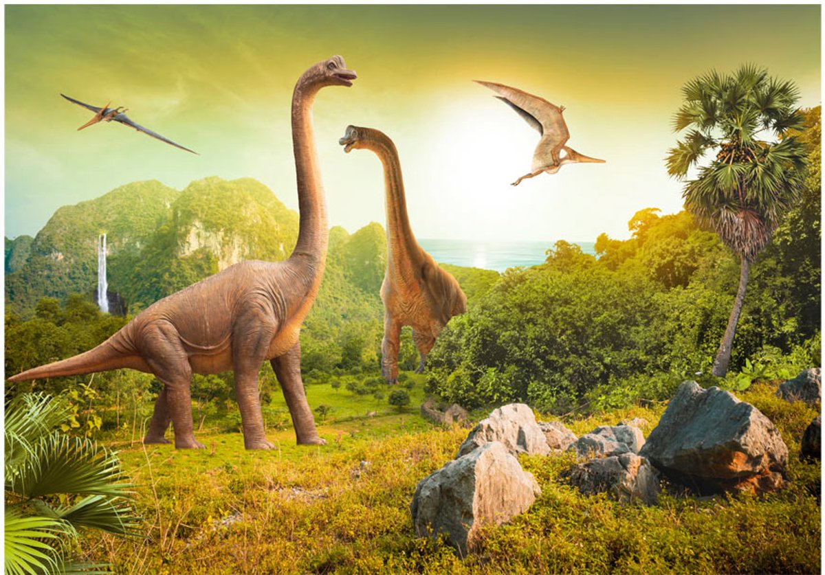 Fotobehang - Dinosaurs.
