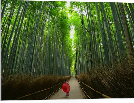 WallClassics - PVC Schuimplaat - Bamboe Bomen met Japanse Paraplu - 80x60 cm Foto op PVC Schuimplaat (Met Ophangsysteem)