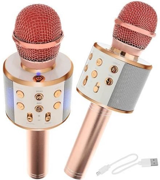 Micro Karaoké avec haut-parleur Bluetooth, rose