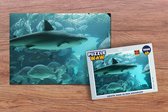 Puzzel Grote haai in een aquarium - Legpuzzel - Puzzel 1000 stukjes volwassenen