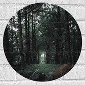 WallClassics - Muursticker Cercle - Chemin d'herbe dans la forêt - 40x40 cm Photo sur Muursticker