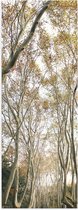 WallClassics - Poster (Mat) - Lichte Bomen op Pad - 30x90 cm Foto op Posterpapier met een Matte look