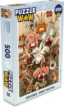 Puzzel Orchidee - Ernst Haeckel - Legpuzzel - Puzzel 500 stukjes