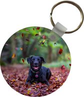 Porte-clés - Labrador noir allongé parmi les feuilles d'automne - Plastique - Rond