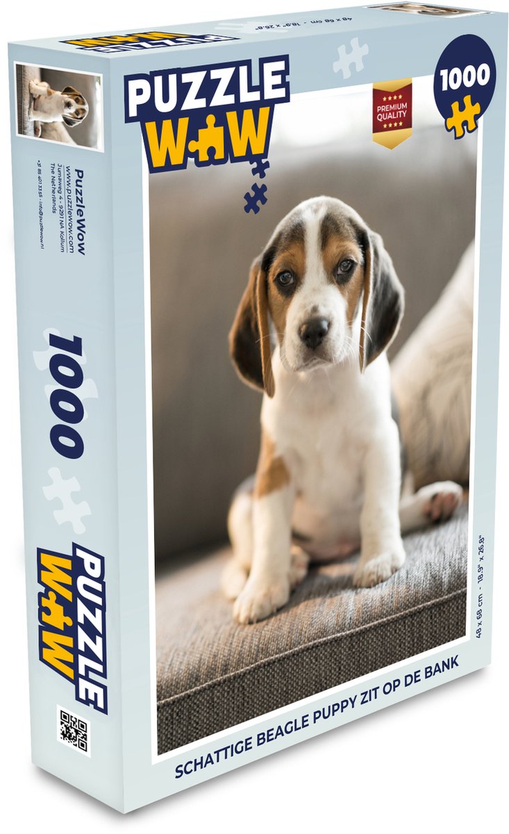 Puzzel Schattige Beagle puppy zit op de bank - Legpuzzel - Puzzel 1000  stukjes volwassenen | bol.com