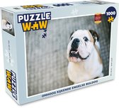 Puzzel Hond - Bulldog - Wit - Legpuzzel - Puzzel 1000 stukjes volwassenen