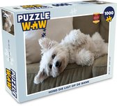 Puzzel Hond die ligt op de bank - Legpuzzel - Puzzel 1000 stukjes volwassenen