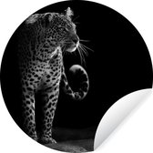 Behangcirkel - Zelfklevend behang - Wilde dieren - Luipaard - Natuur - Zwart - Wit - 120x120 cm - Behangsticker - Behang zelfklevend - Wanddecoratie cirkel