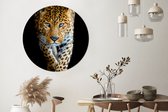 Behangcirkel - Zelfklevend behang - Luipaard - Zwart - Dieren - Wanddecoratie cirkel - Behangsticker - Behangcirkel zelfklevend - ⌀ 140 cm - Muurdecoratie rond