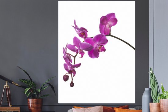 Stickers muraux - Orchidée sur fond blanc - 120x160 cm - Feuille adhésive XXL
