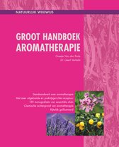 Groot handboek aromatherapie door Greetje Van Den Eede & Dr. Geert Verhelst - praktijkgerichte receptuur - Massage - EHBO kit - Reisapotheek