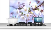 Spatscherm keuken 90x60 cm - Kookplaat achterwand Bloemen - Sakura - Tak - Bloesem takken - Muurbeschermer - Spatwand fornuis - Hoogwaardig aluminium