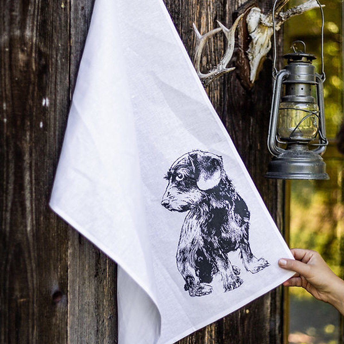 Teckel - Gastenhanddoek - Keukenhanddoek - Theedoek - Handdoek - ruwharige teckel