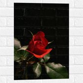 WallClassics - Muursticker - Close-Up Rode Roos met Groene Bladeren - 40x60 cm Foto op Muursticker