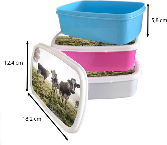Lunchbox Blauw - Lunchbox - Boîte à pain - Vaches - Léger - Herbe - Animaux - 18x12x6 cm - Enfants - Garçon