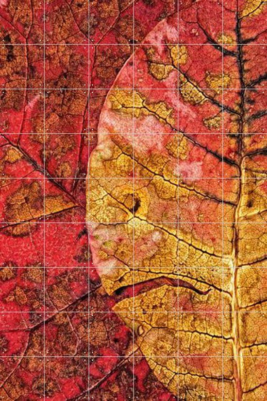 IXXI Dying Leaf - Wanddecoratie - Abstract - 120 x 180 cm