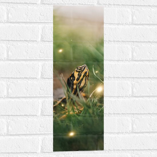 WallClassics - Muursticker - Zwart met Gele Slang tussen het Groene Gras - 20x60 cm Foto op Muursticker