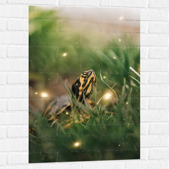 WallClassics - Muursticker - Zwart met Gele Slang tussen het Groene Gras - 60x90 cm Foto op Muursticker