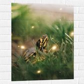 WallClassics - Muursticker - Zwart met Gele Slang tussen het Groene Gras - 60x80 cm Foto op Muursticker