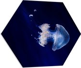 WallClassics - PVC Schuimplaat Hexagon  - Witte Kwal onder Blauw Water - 70x60.9 cm Foto op Hexagon (Met Ophangsysteem)