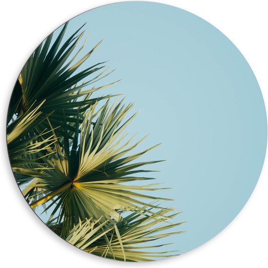 WallClassics - Dibond Muurcirkel - Palmbomen met Blauwe Lucht - 80x80 cm Foto op Aluminium Muurcirkel (met ophangsysteem)
