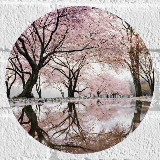 WallClassics - Muursticker Cirkel - Prachtige Bloesem Bomen - 20x20 cm Foto op Muursticker