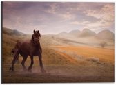 WallClassics - Dibond - Zwart Paard in de Natuur - 40x30 cm Foto op Aluminium (Wanddecoratie van metaal)
