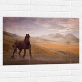 WallClassics - Muursticker - Zwart Paard in de Natuur - 90x60 cm Foto op Muursticker