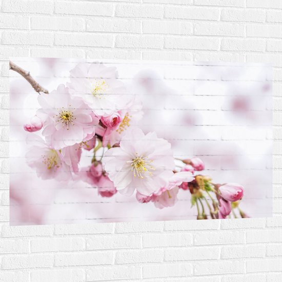 WallClassics - Muursticker - Roze Cherry Bloemen - 120x80 cm Foto op Muursticker