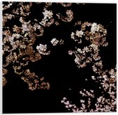WallClassics - PVC Schuimplaat - Wit met Roze Bloementjes met Zwarte Achtergrond - 50x50 cm Foto op PVC Schuimplaat (Met Ophangsysteem)