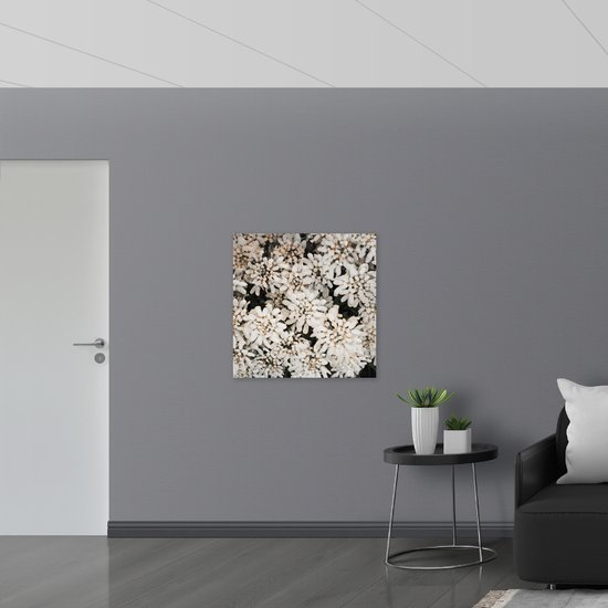 PVC Schuimplaat- Struik met Witte Bloemetjes - 80x80 cm Foto op PVC Schuimplaat