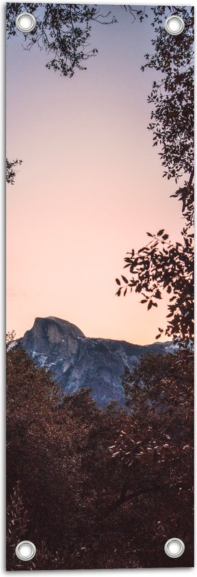 WallClassics - Tuinposter – Berg tussen de Boomtoppen - 20x60 cm Foto op Tuinposter  (wanddecoratie voor buiten en binnen)