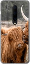 Geschikt voor OnePlus 7 Pro hoesje - Schotse hooglander - Liefde - Portret - Siliconen Telefoonhoesje