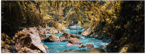 WallClassics - Poster Glanzend – Takkenboog over Rivier - 60x20 cm Foto op Posterpapier met Glanzende Afwerking