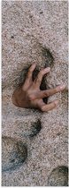 WallClassics - Poster (Mat) - Hand uit het Zand - 20x60 cm Foto op Posterpapier met een Matte look
