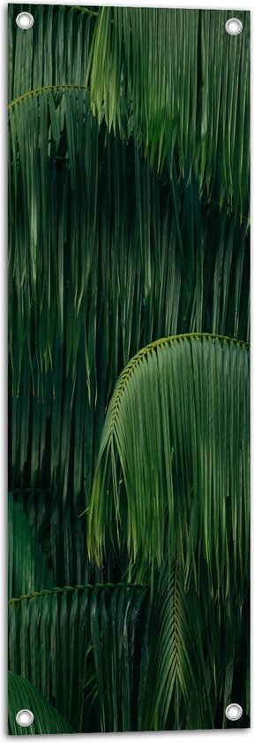 WallClassics - Tuinposter – Groene Plant met Lange Bladeren - 30x90 cm Foto op Tuinposter  (wanddecoratie voor buiten en binnen)