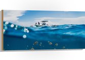 WallClassics - Hout - Scheiding van Water en Lucht - Vissen onder een Boot - 100x50 cm - 12 mm dik - Foto op Hout (Met Ophangsysteem)