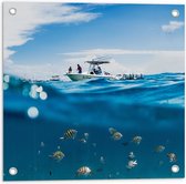 WallClassics - Tuinposter – Scheiding van Water en Lucht - Vissen onder een Boot - 50x50 cm Foto op Tuinposter  (wanddecoratie voor buiten en binnen)