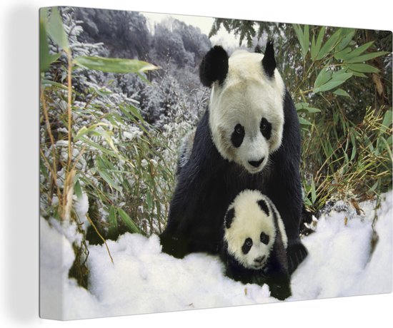Canvas Schilderij Panda - Welp - Sneeuw - Wanddecoratie