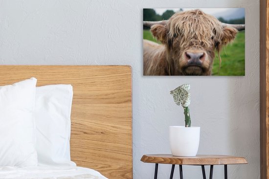 Toile Highlander écossais poilue 2cm