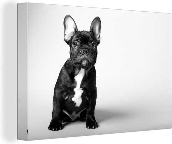 Tableau sur toile jeune bouledogue fran ais noir noir et blanc