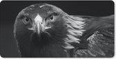 Bureauonderlegger - Buizerd - Vogel - Dieren - Zwart - Wit - 60x30 - Muismat
