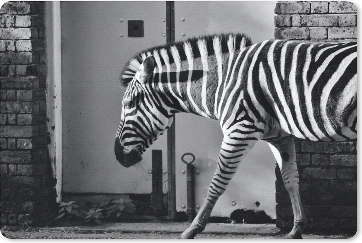 Muismat 27x18 cm - Mousepad Zebra - Muur - Deur - Dieren - Zwart wit - Muismatten