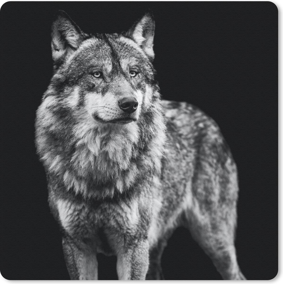 Muismat 20x20 cm - Mousepad Wolf - Dieren - Wild - Zwart - Wit - Muismatten