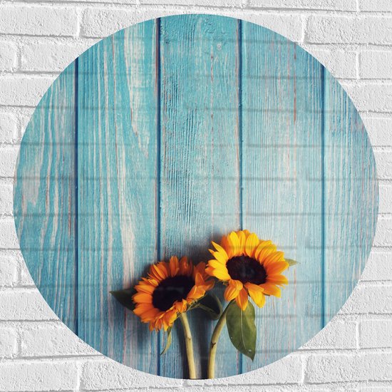 WallClassics - Muursticker Cirkel - Zonnebloemen met Blauwe Schutting - 80x80 cm Foto op Muursticker