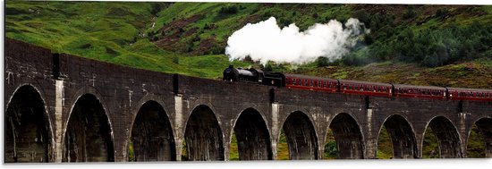 WallClassics - Dibond - Stoomtrein over Brug bij Bergen - 90x30 cm Foto op Aluminium (Wanddecoratie van metaal)