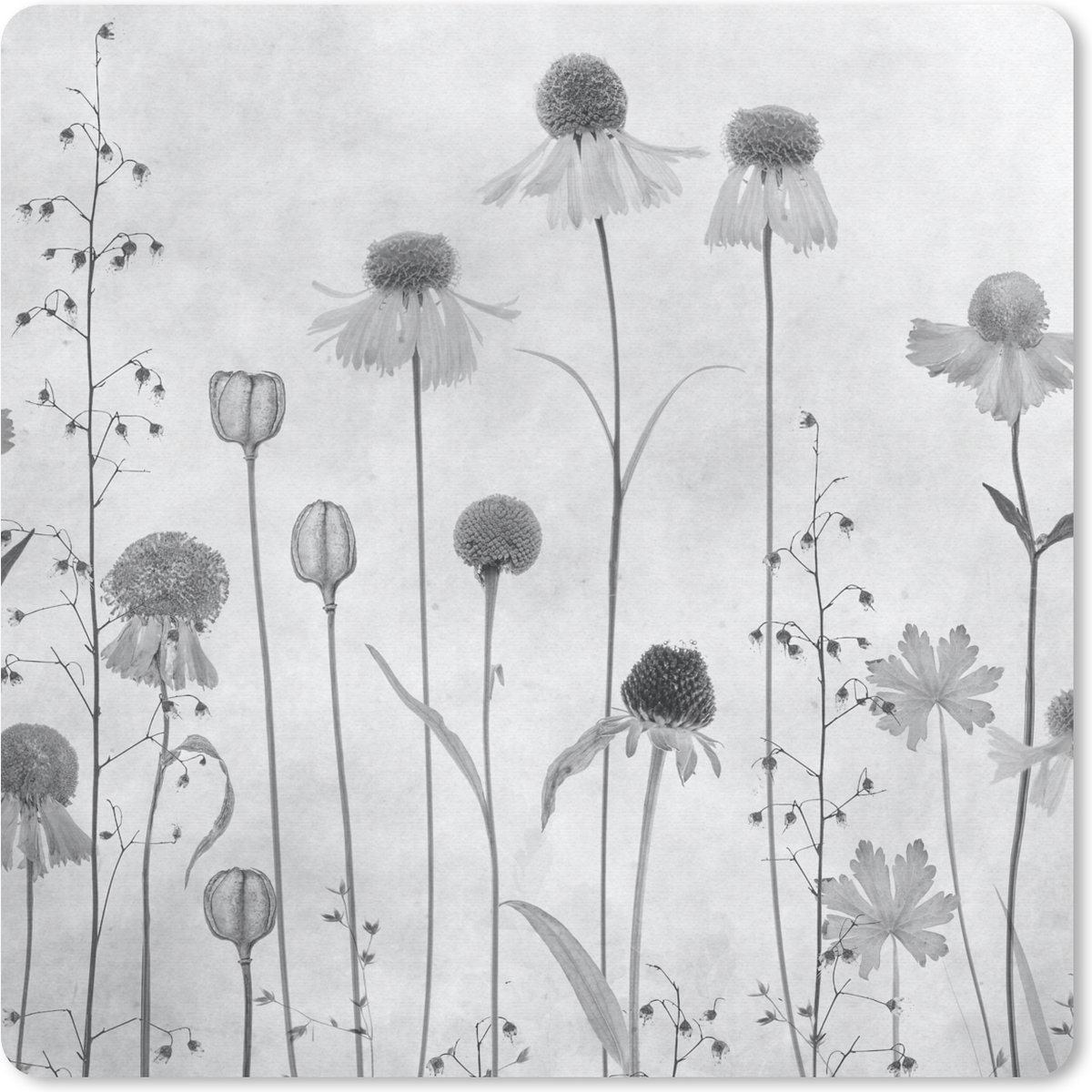 Muismat 30x30 cm - Mousepad Planten - Stilleven - Waterverf - Muismatten