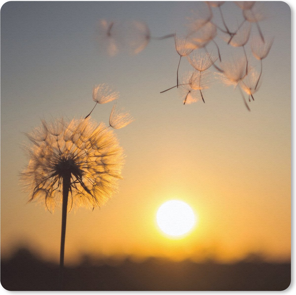 Muismat 20x20 cm - Mousepad Paardenbloem - Zon - Zonsondergang - Muismatten