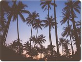 Muismat Groot - Palmboom - Tropisch - Zomer - Lucht - 40x30 cm - Mousepad - Muismat